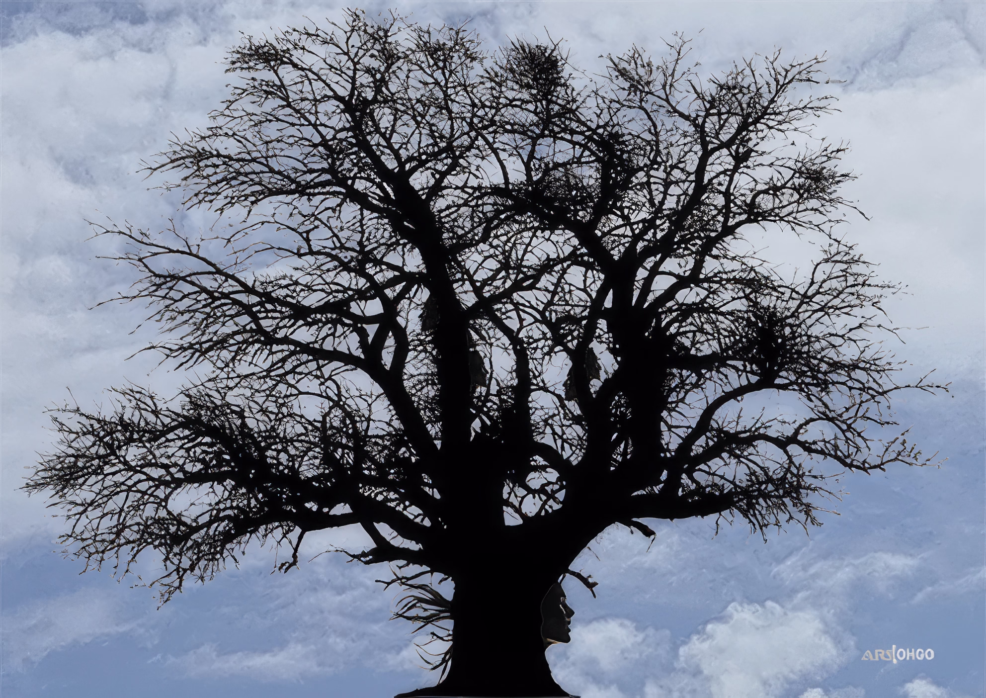 L'Arbre de Cinq Femmes