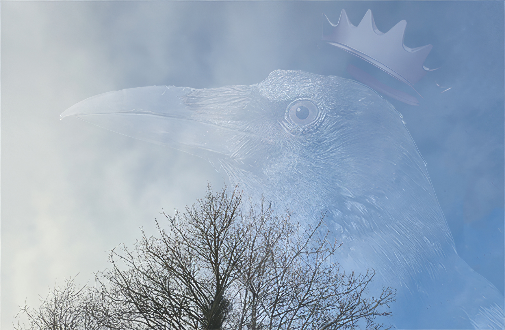 Treetop & the Crow-n
